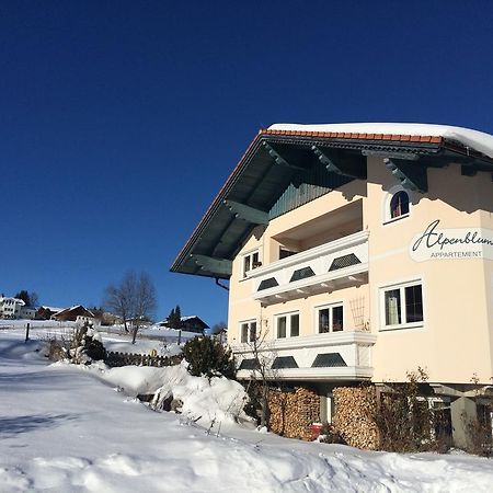 Appartement Alpenblume Schladming Kültér fotó